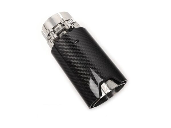 BMW F Series CARBON FIBER SILVER Exhaust Tip