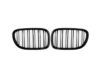 BMW 7 Series F01 F02 F03 F04 GLOSS BLACK Double Kidney Grilles