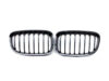 BMW 1 Series F20 F21 PRE LCI GLOSS BLACK Single Kidney Grilles