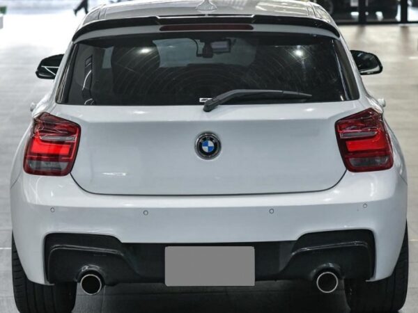 BMW 1 Series F20 F21 Pre LCI CARBON FIBER PERFORMANCE Dual Exhaust Rear Diffuser