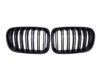 BMW X3 X4 F25 F26 GLOSS BLACK Double Kidney Grilles