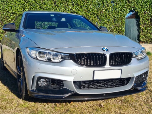 BMW 3 Series F80 M3 4 Series F32 F33 F36 F82 F83 M4 CARBON FIBER Single Kidney Grilles