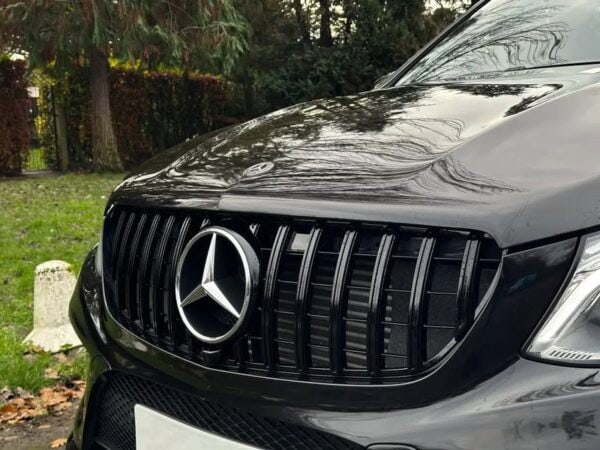 Mercedes-benz gle class w166 amg 15-18 gloss black panamericana gt style grille
