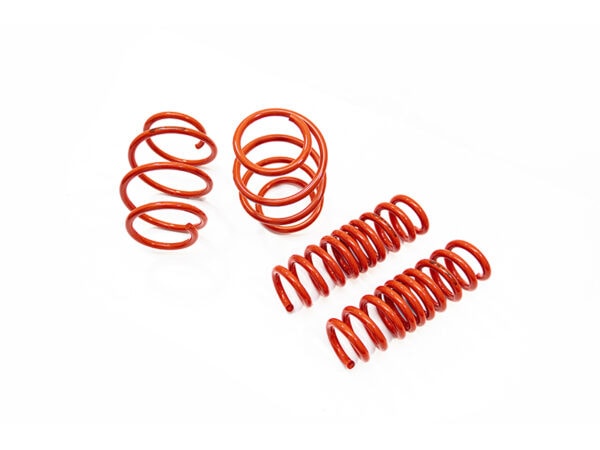 Cobra suspension bmw lowering springs 5