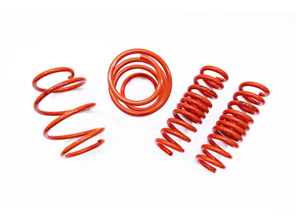 Cobra suspension bmw lowering springs 6
