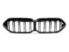 BMW 2 Series F44 Prepreg CARBON FIBRE Double Kidney Grille