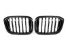 BMW G01 X3 G02 X4 F97 X3M F98 X4M pre LCI Prepreg CARBON FIBRE Performance Style Kidney Grille
