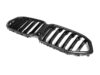 BMW G06 X6 pre LCI Prepreg CARBON FIBRE Performance Style Kidney Grille