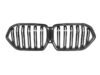 BMW G06 X6 pre LCI Prepreg CARBON FIBRE Double Kidney Grille