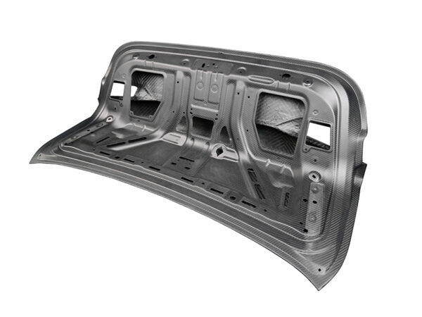 Va bm btld dcf 004 8