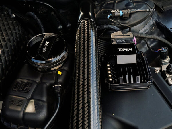 53955381342 8b9ce59285 k