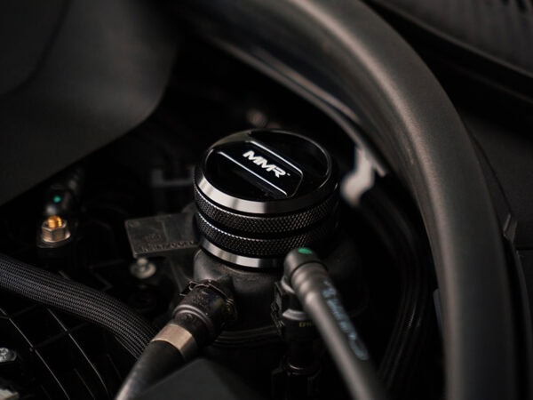 53720980343 37196ebed5 k