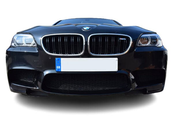 Alternative view of Zunsport BMW F10 M5 GRILLES