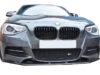 Zunsport BMW 1 SERIES F20 F21 m135i GRILLES