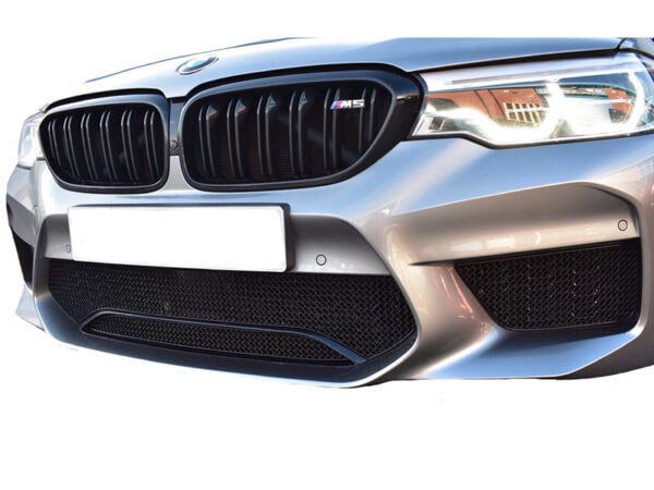 Alternative view of Zunsport BMW F90 M5 COMPETITION GRILLES