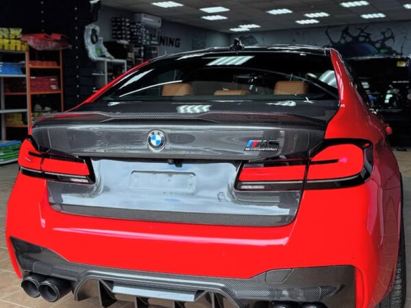 Va bm btld dcf 008 3